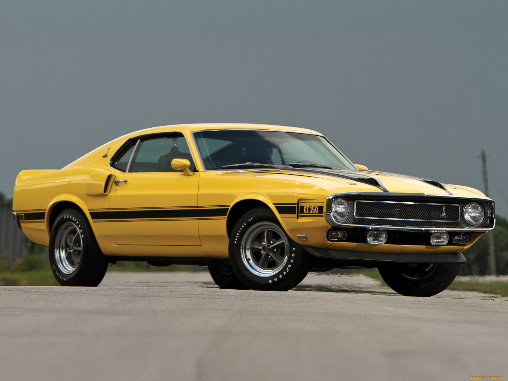, mustang, shelby